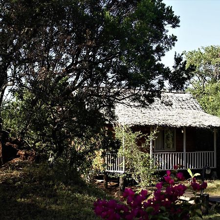 Jambo Mara Safari Lodge Ololaimutiek Exterior foto