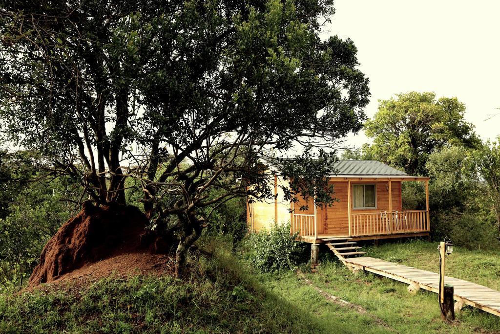 Jambo Mara Safari Lodge Ololaimutiek Quarto foto