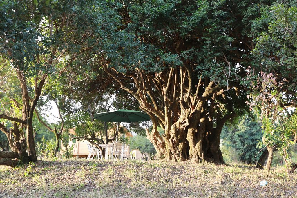 Jambo Mara Safari Lodge Ololaimutiek Exterior foto