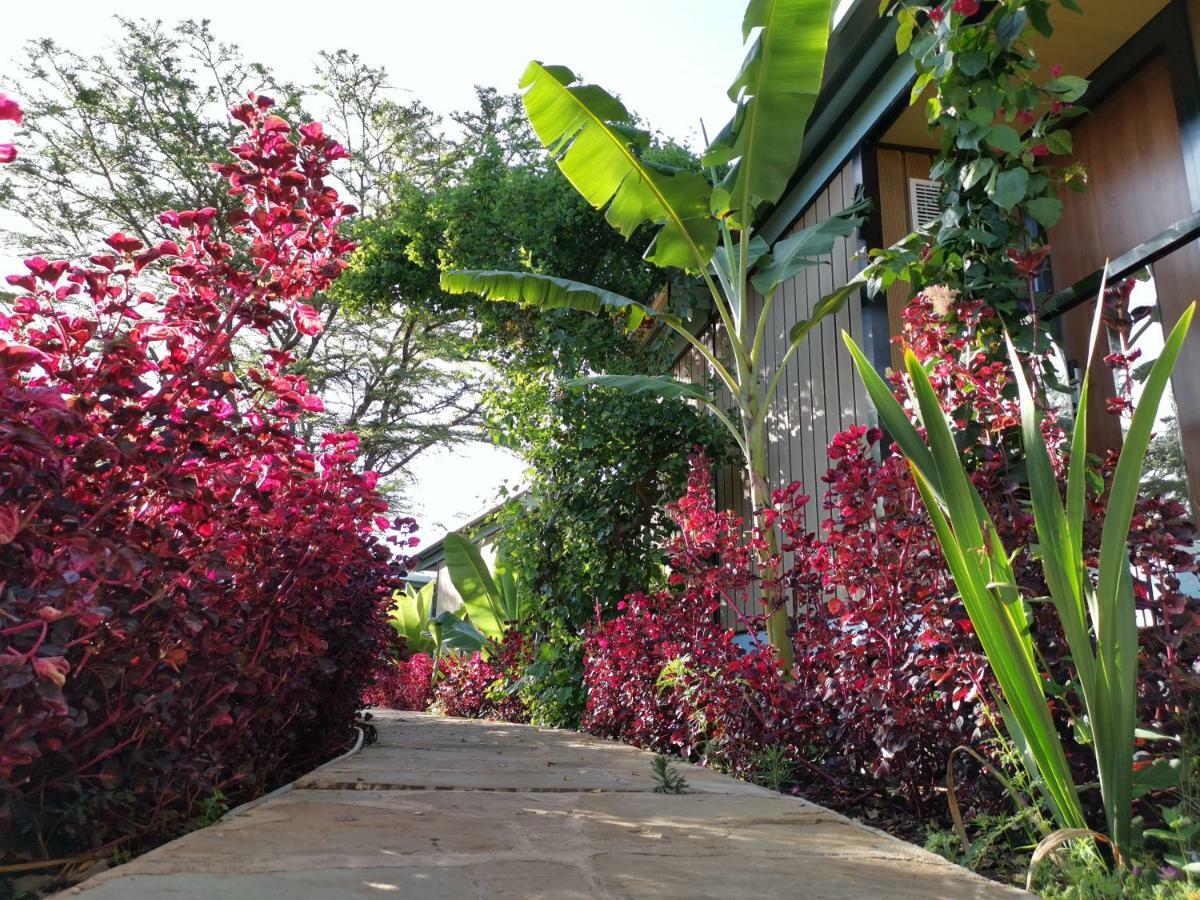 Jambo Mara Safari Lodge Ololaimutiek Exterior foto